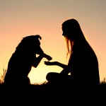 a girl is sitting outside in the grass shaking hands with her dog silhouetted against the sunset sky