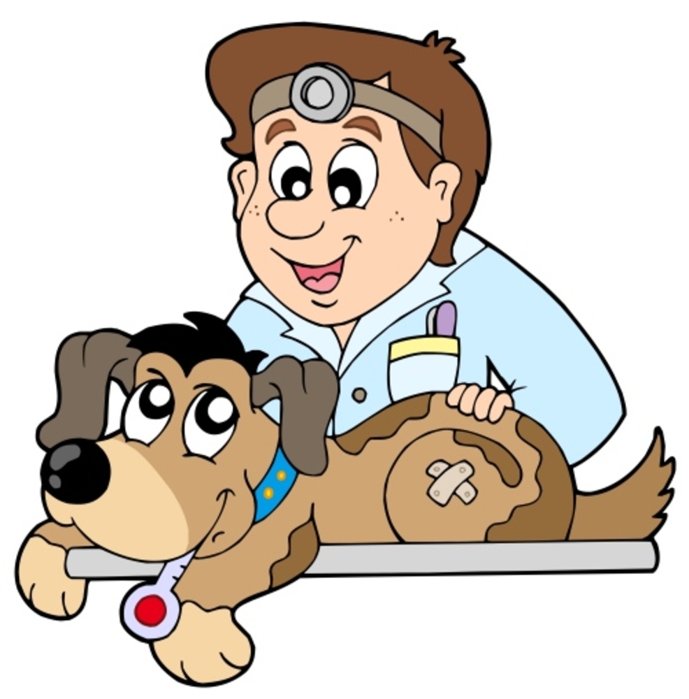 Ветеринар картинка для детей